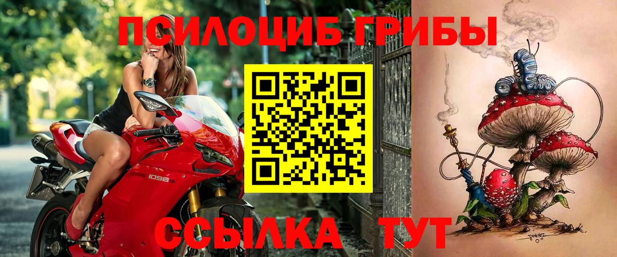 Псилоцибиновые грибы мицелий  Вход с VPN  Туапсе  Галлюциногенные грибы мухоморы 