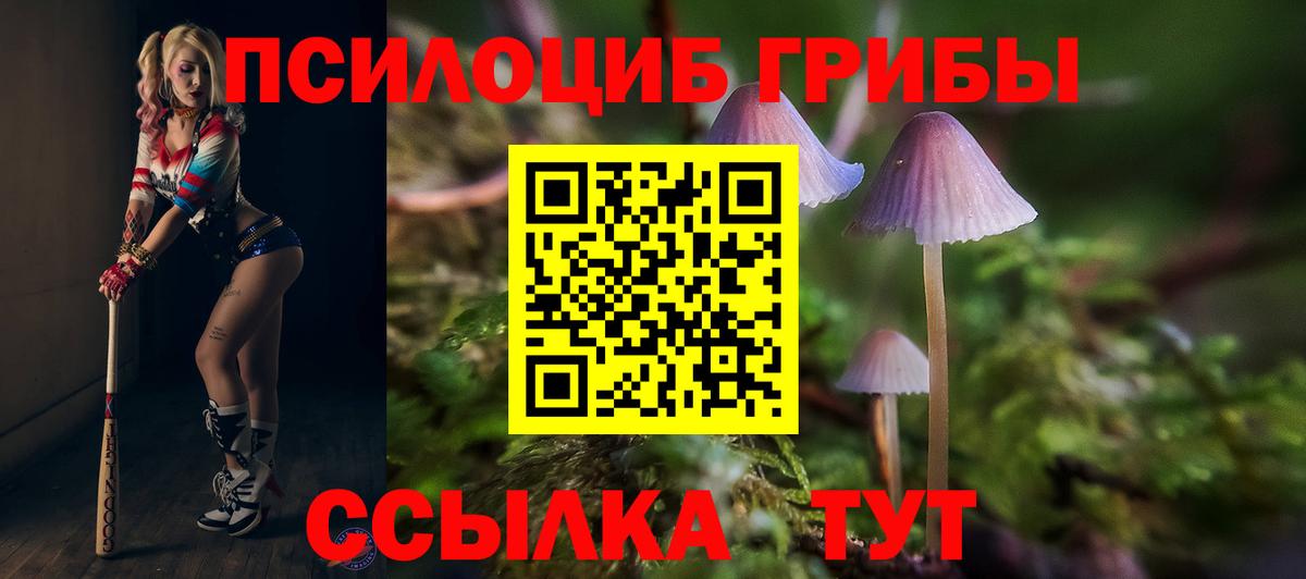 Псилоцибиновые грибы MAGIC MUSHROOMS Туапсе